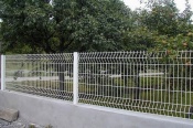 Wire Mesh Fencing 